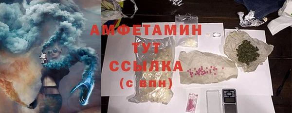 прущие грибы Медногорск