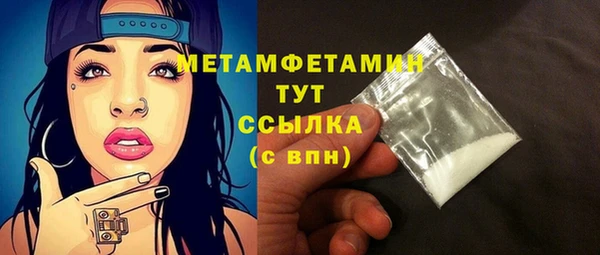 прущие грибы Медногорск