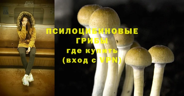 первитин Медвежьегорск