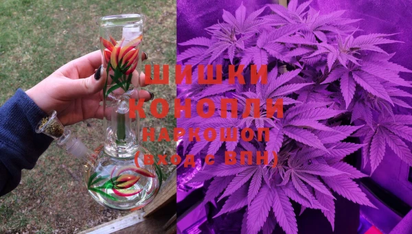 прущие грибы Медногорск