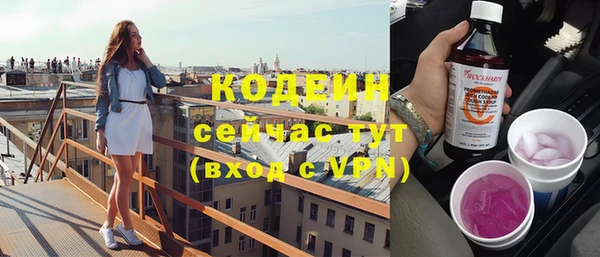 прущие грибы Медногорск