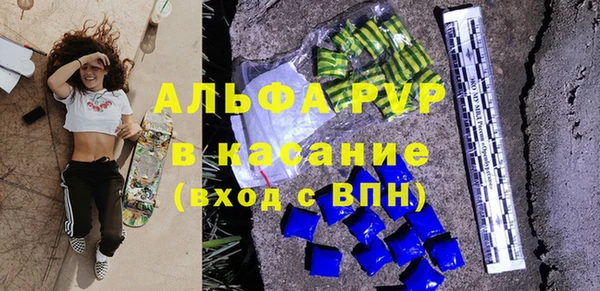 прущие грибы Медногорск