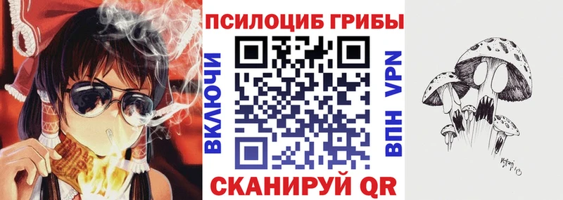 нарко площадка клад  Сретенск  Псилоцибиновые грибы Psilocybine cubensis 